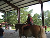 camphopeforkidz > Camp Hope 2007 photo