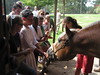 camphopeforkidz > Camp Hope 2007 photo